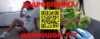 СК Краснодар