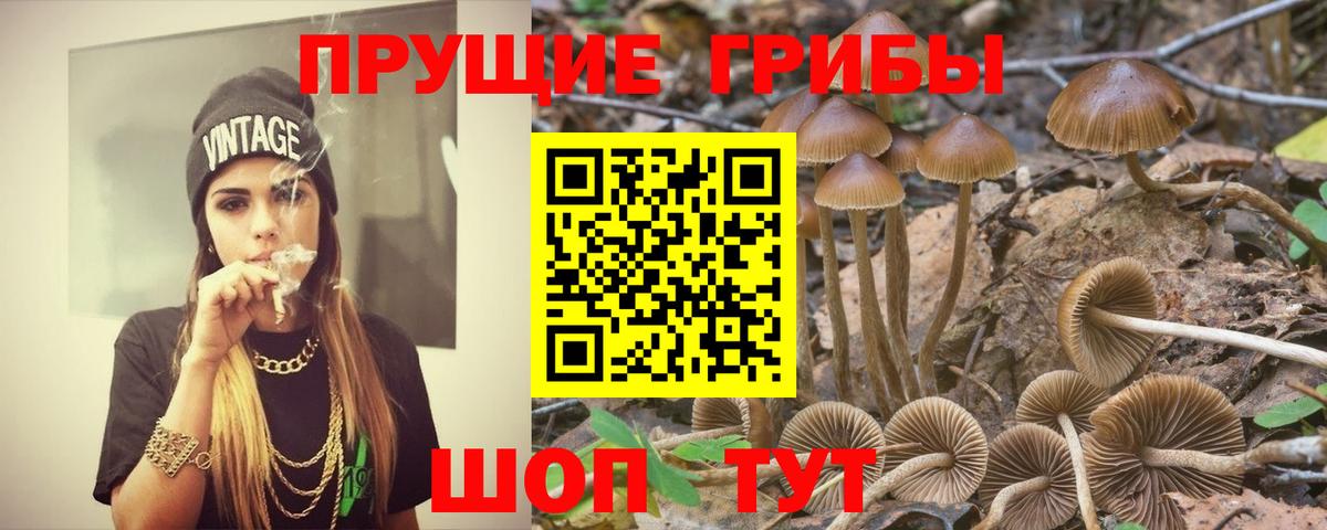Кировск  где можно купить наркотик  Галлюциногенные грибы ЛСД  Вход с VPN  Галлюциногенные грибы Psilocybine cubensis 