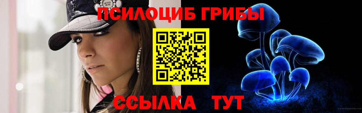 Псилоцибиновые грибы ЛСД Кировск